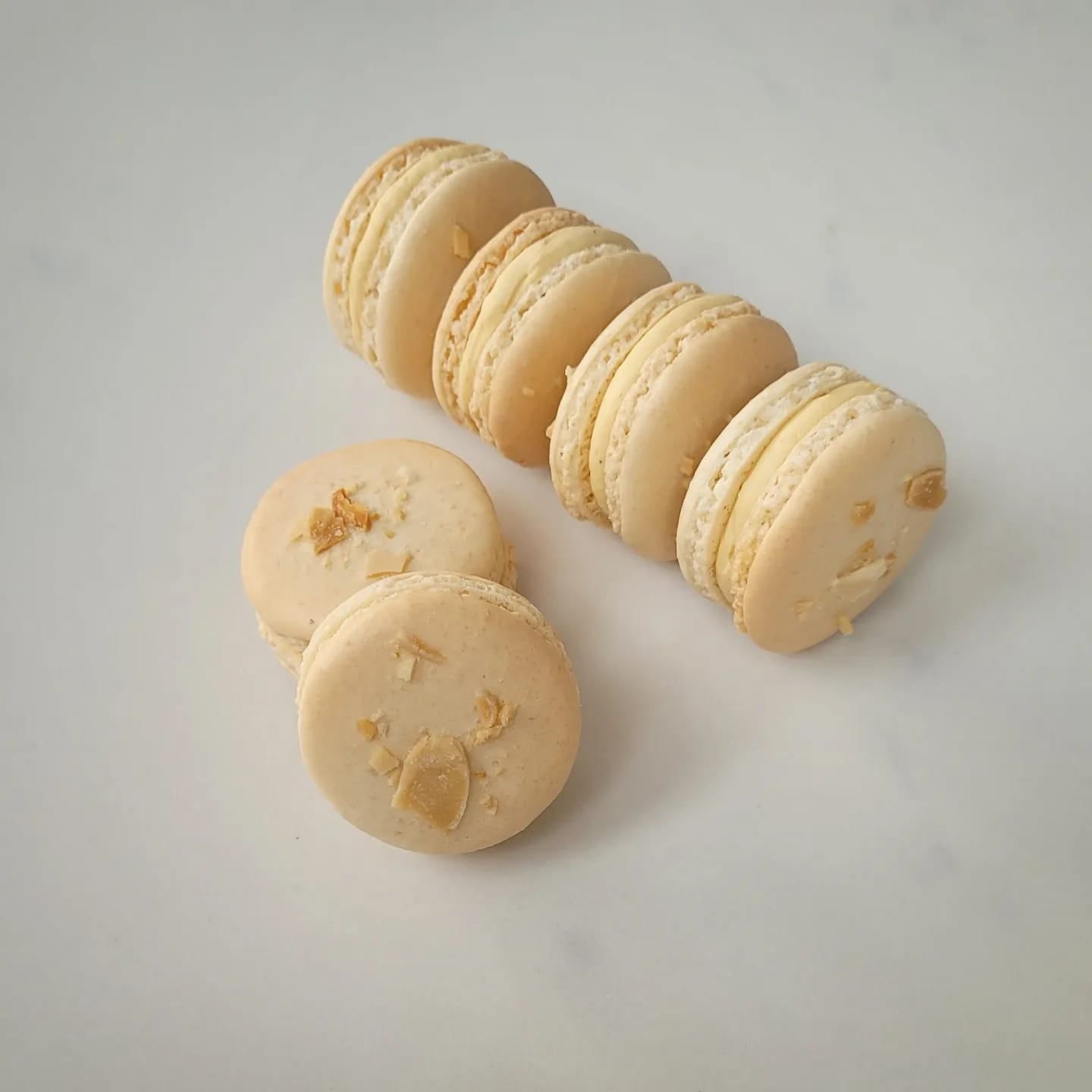 Almond Praline Macarons - box of 8